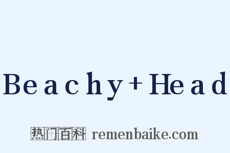 Beachy+Head是什么意思的图片